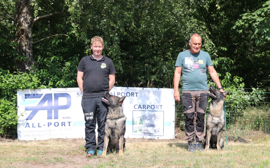 BC interclub wedstrijd KG Bokrijk