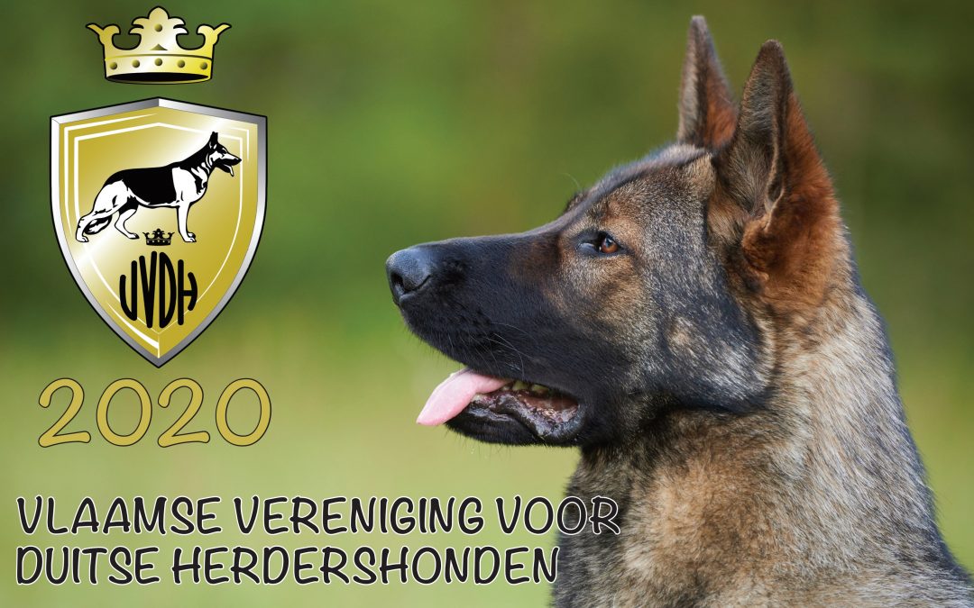 V.V.D.H. Nieuwsbrief 15 december 2019