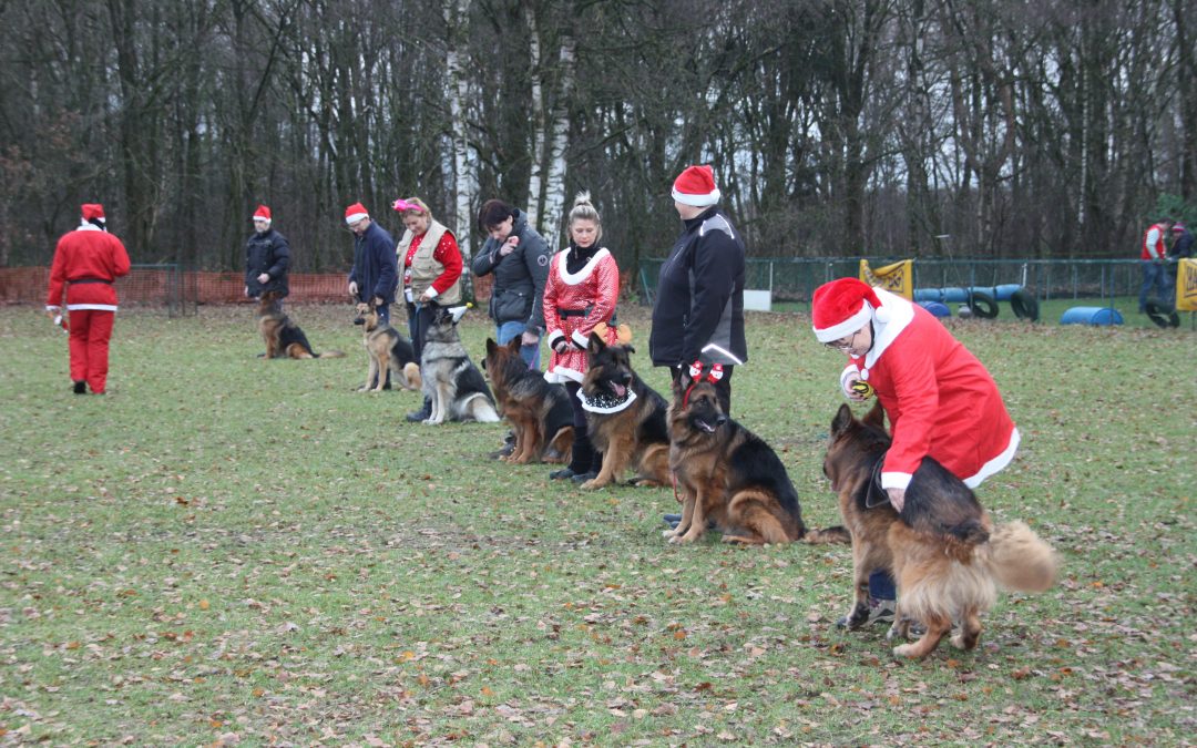 BOP Kringgroep 19 Geel Kersttraining