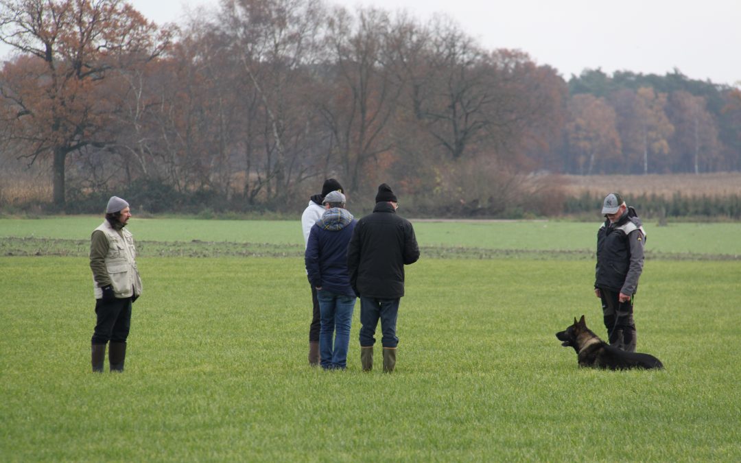 Foto’s speurkampioenschap